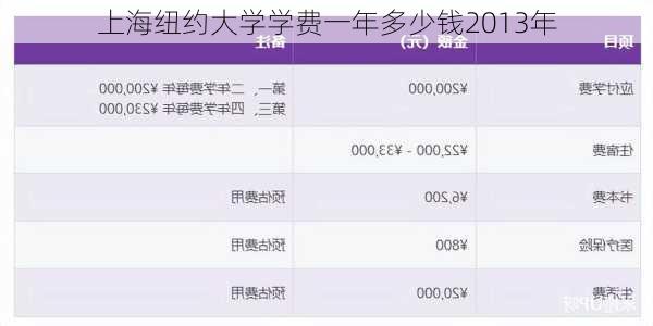 上海纽约大学学费一年多少钱2013年