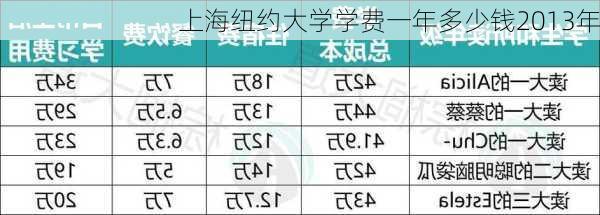 上海纽约大学学费一年多少钱2013年