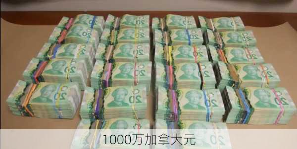 1000万加拿大元