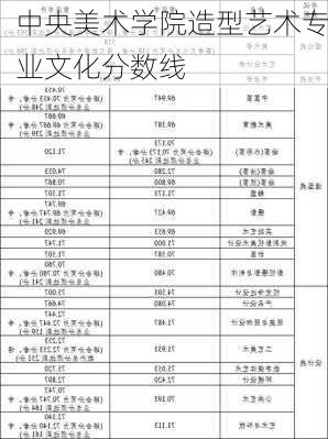 中央美术学院造型艺术专业文化分数线