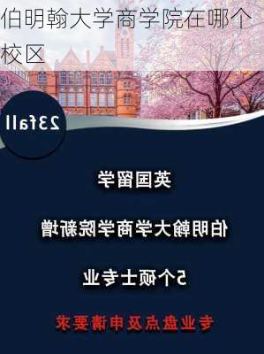 伯明翰大学商学院在哪个校区