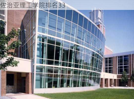 佐治亚理工学院排名33