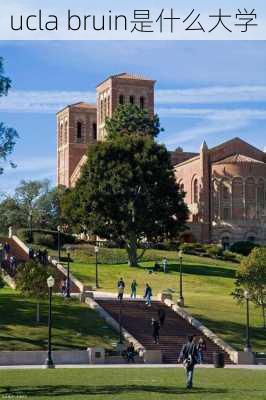 ucla bruin是什么大学