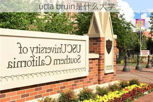 ucla bruin是什么大学