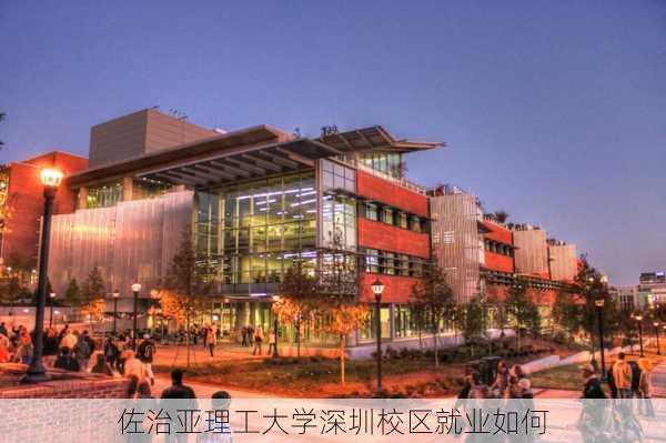 佐治亚理工大学深圳校区就业如何