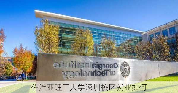 佐治亚理工大学深圳校区就业如何