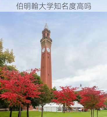 伯明翰大学知名度高吗