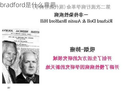 bradford是什么意思