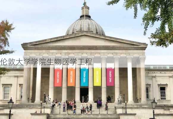 伦敦大学学院生物医学工程