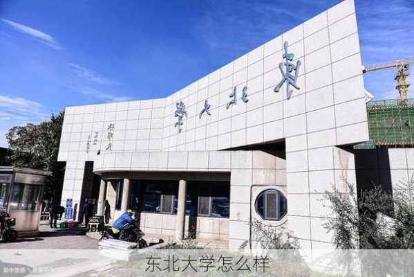 东北大学怎么样