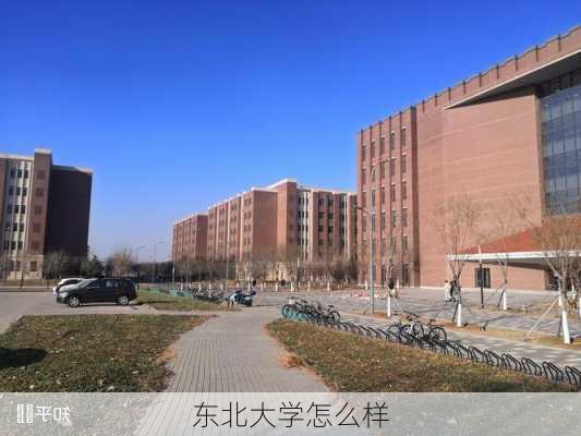 东北大学怎么样