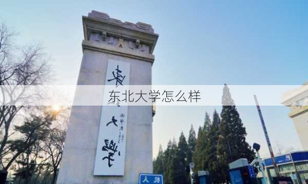 东北大学怎么样