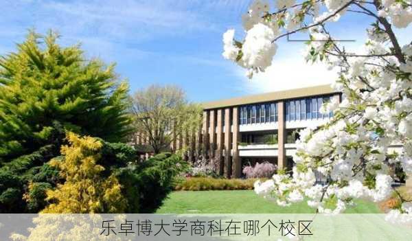 乐卓博大学商科在哪个校区