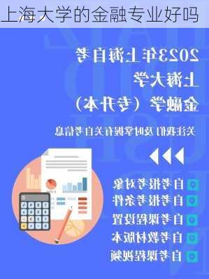 上海大学的金融专业好吗