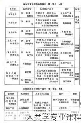 人类学专业课程