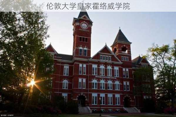 伦敦大学皇家霍络威学院