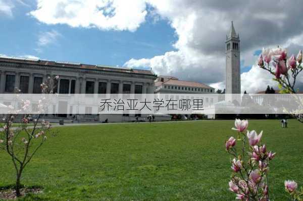 乔治亚大学在哪里