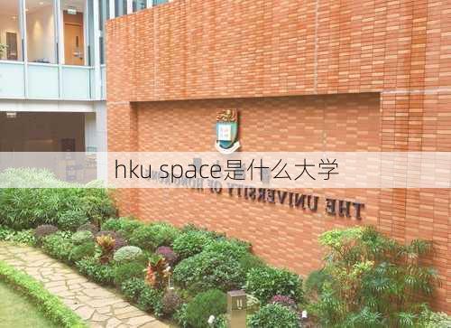 hku space是什么大学