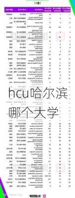 hcu哈尔滨哪个大学