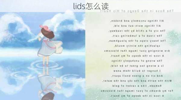 lids怎么读