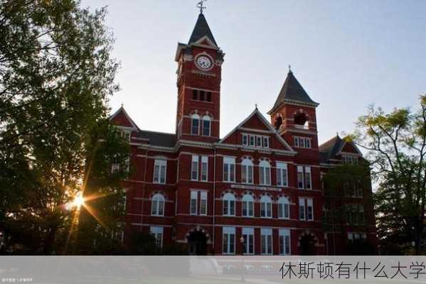 休斯顿有什么大学