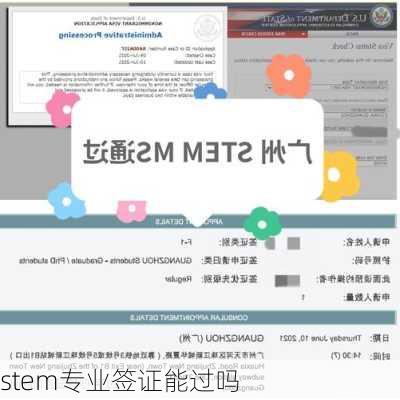 stem专业签证能过吗