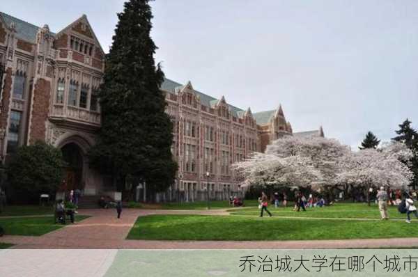 乔治城大学在哪个城市