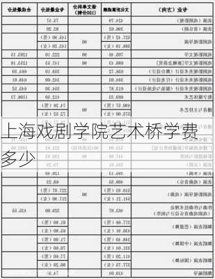 上海戏剧学院艺术桥学费多少