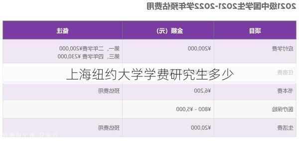 上海纽约大学学费研究生多少