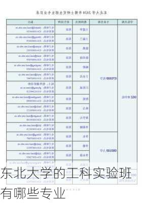 东北大学的工科实验班有哪些专业