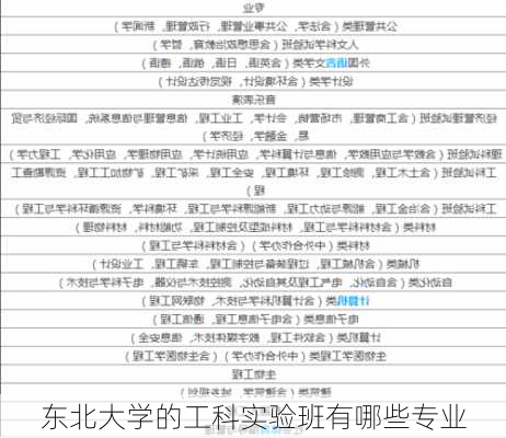 东北大学的工科实验班有哪些专业