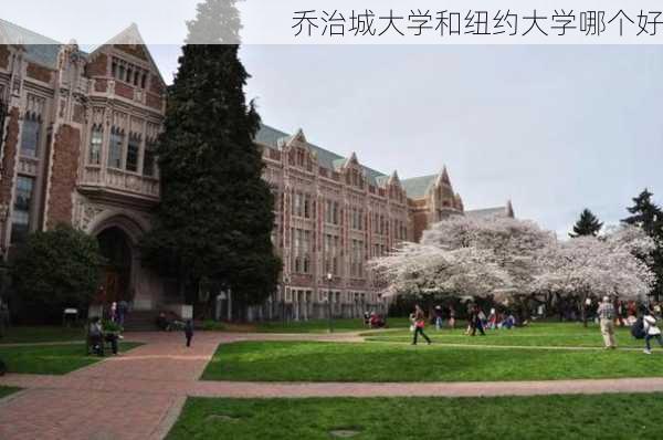 乔治城大学和纽约大学哪个好