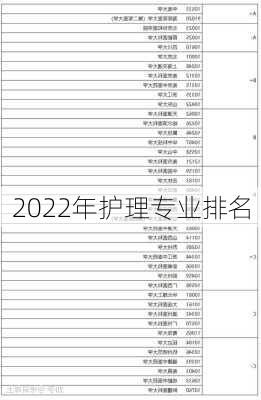 2022年护理专业排名