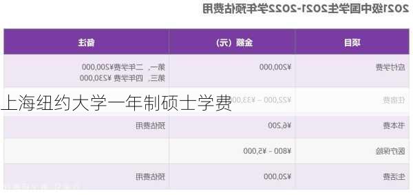 上海纽约大学一年制硕士学费