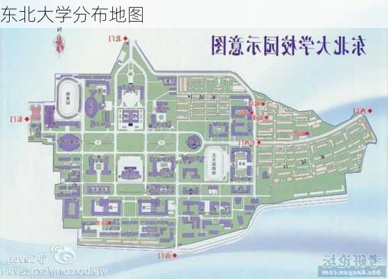 东北大学分布地图