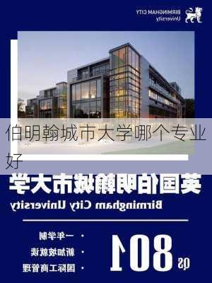 伯明翰城市大学哪个专业好