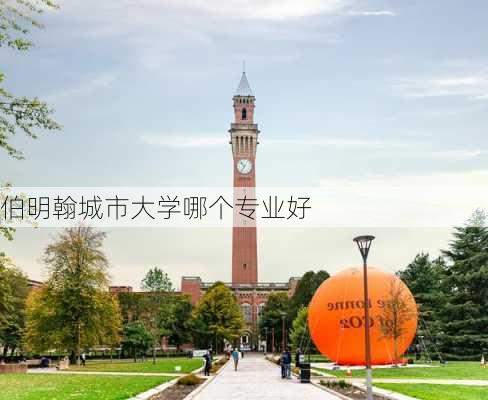 伯明翰城市大学哪个专业好