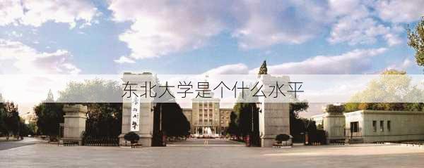 东北大学是个什么水平