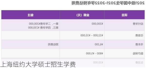 上海纽约大学硕士招生学费