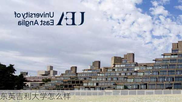 东英吉利大学怎么样