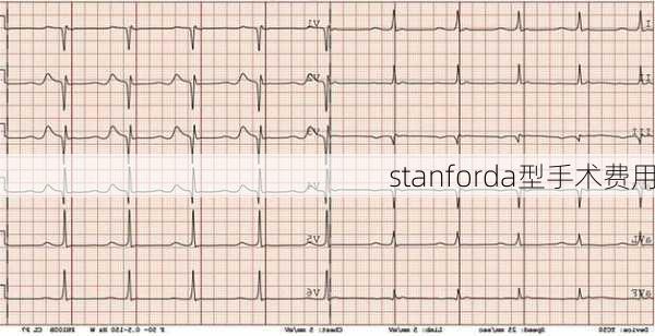 stanforda型手术费用