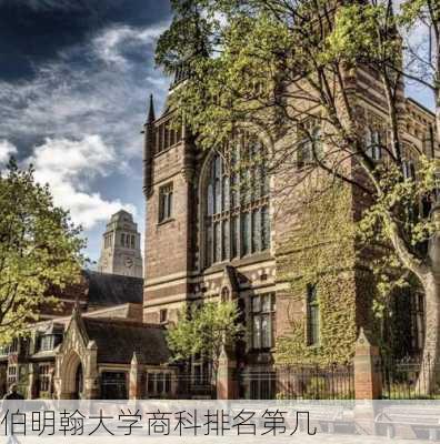 伯明翰大学商科排名第几