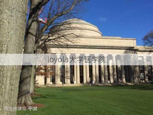 loyola大学医学院