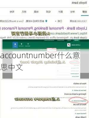 accountnumber什么意思中文