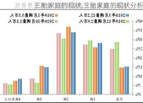 三胎家庭的现状,三胎家庭的现状分析