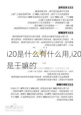 i20是什么有什么用,i20是干嘛的