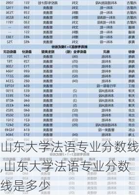 山东大学法语专业分数线,山东大学法语专业分数线是多少