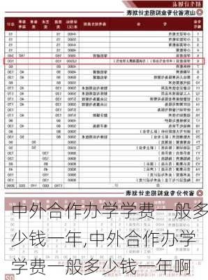 中外合作办学学费一般多少钱一年,中外合作办学学费一般多少钱一年啊