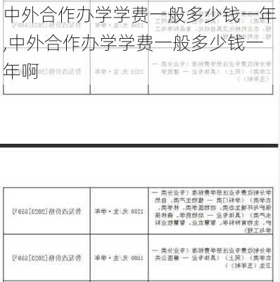 中外合作办学学费一般多少钱一年,中外合作办学学费一般多少钱一年啊