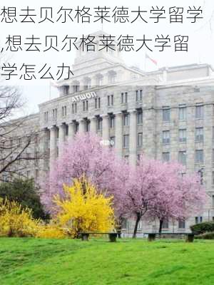 想去贝尔格莱德大学留学,想去贝尔格莱德大学留学怎么办